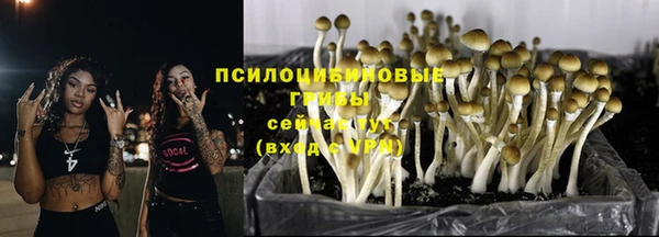 spice Волосово