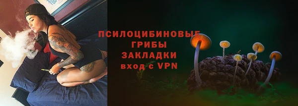 спайс Семёнов