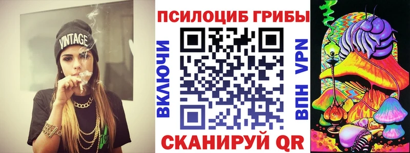 Псилоцибиновые грибы Cubensis  закладки  Волчанск 